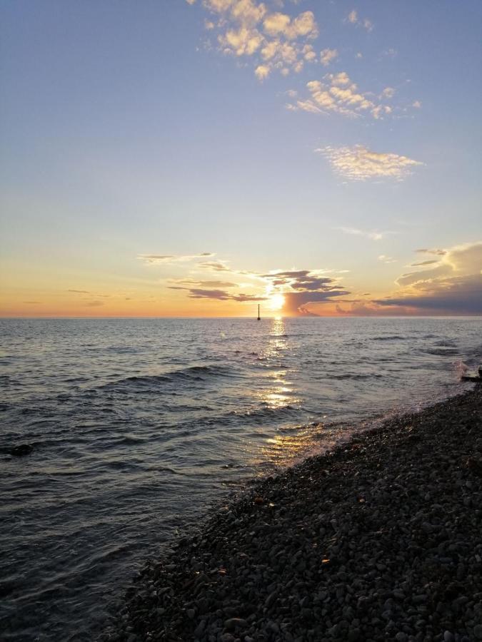 Apartments Pepe Novigrad Istria 外观 照片