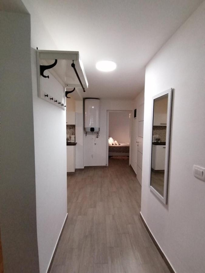 Apartments Pepe Novigrad Istria 外观 照片