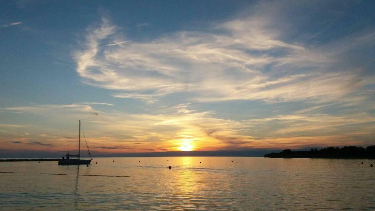 Apartments Pepe Novigrad Istria 外观 照片