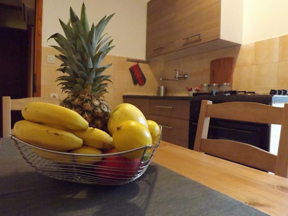 Apartments Pepe Novigrad Istria 外观 照片